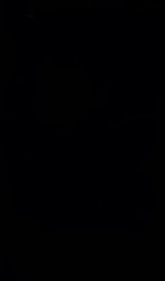 Charger la vidéo : 